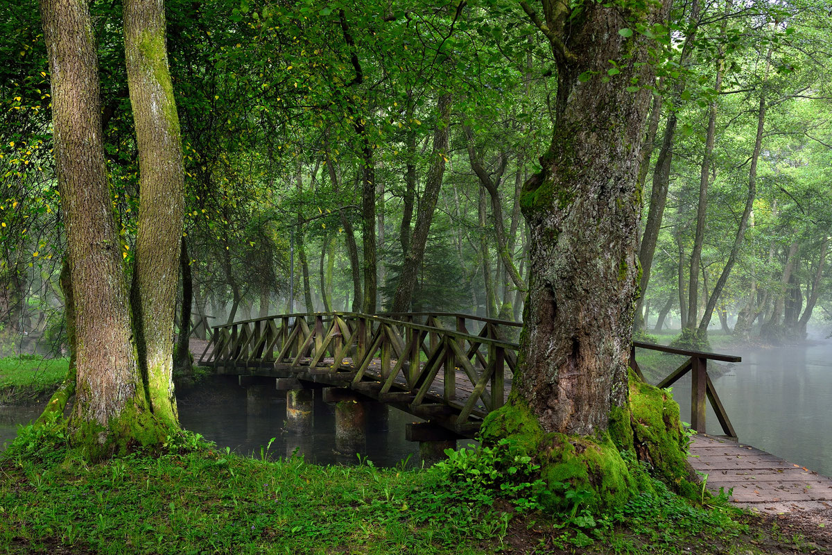 Vrelo Bosne