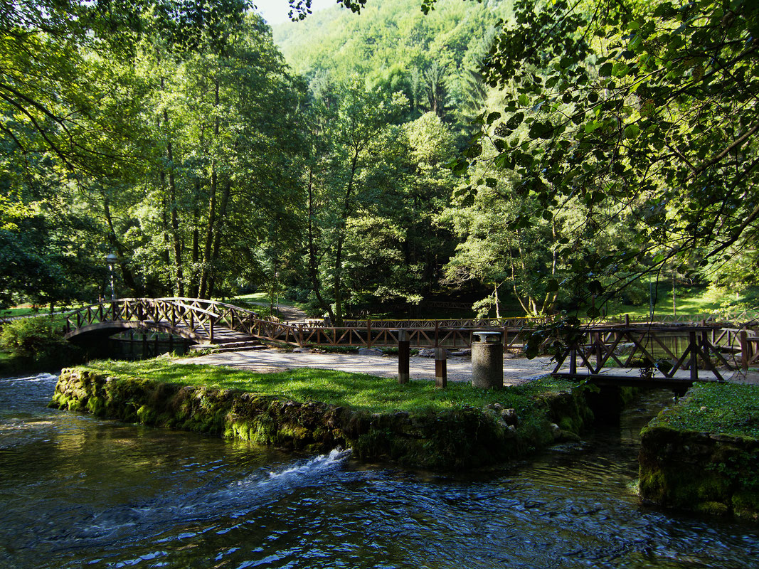 Vrelo Bosne