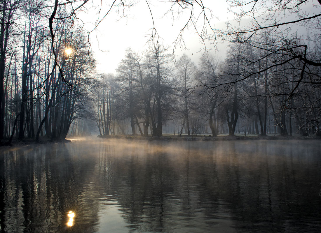 Vrelo Bosne